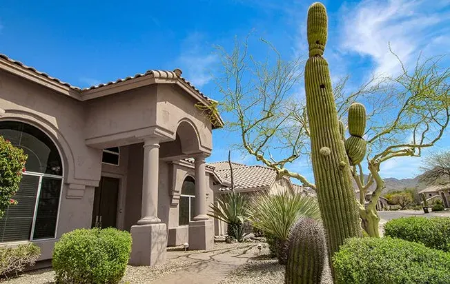 Summerlin Az Home Pest Control